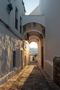 Narrow alley amidst buildings in city