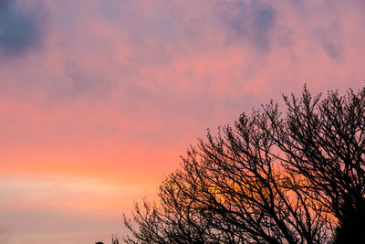 Silhouette tree against sky during sunset