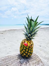 Close-up of fruit on beach against sky