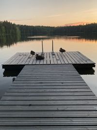 Ducks on pier