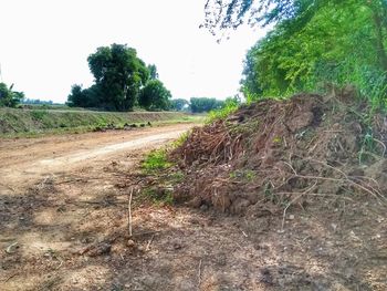 Dirt road amidst field against sky