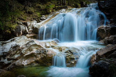 Scenic view of waterfall in forest