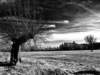 Scenic view of field against cloudy sky