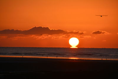 Scenic view of sea against orange sky