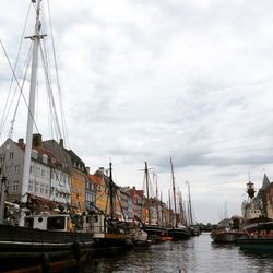 Boats in harbor with city in background