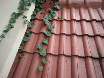 Full frame shot of roof tiles