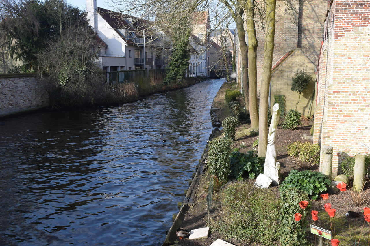 RIVER BY TREES