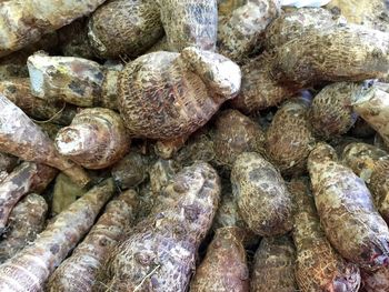 Full frame shot of firewood