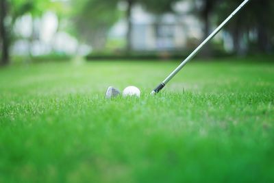 Golf ball on grass