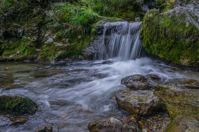 Scenic view of waterfall in forest