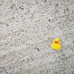 High angle view of yellow toy on sand