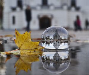 Reflection of building in crystal ball by leaf on pond