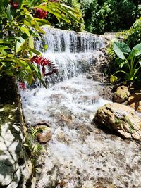 Scenic view of waterfall in forest