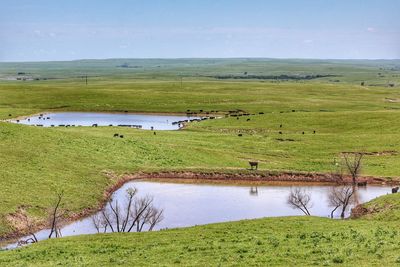 Kansas flint hills 