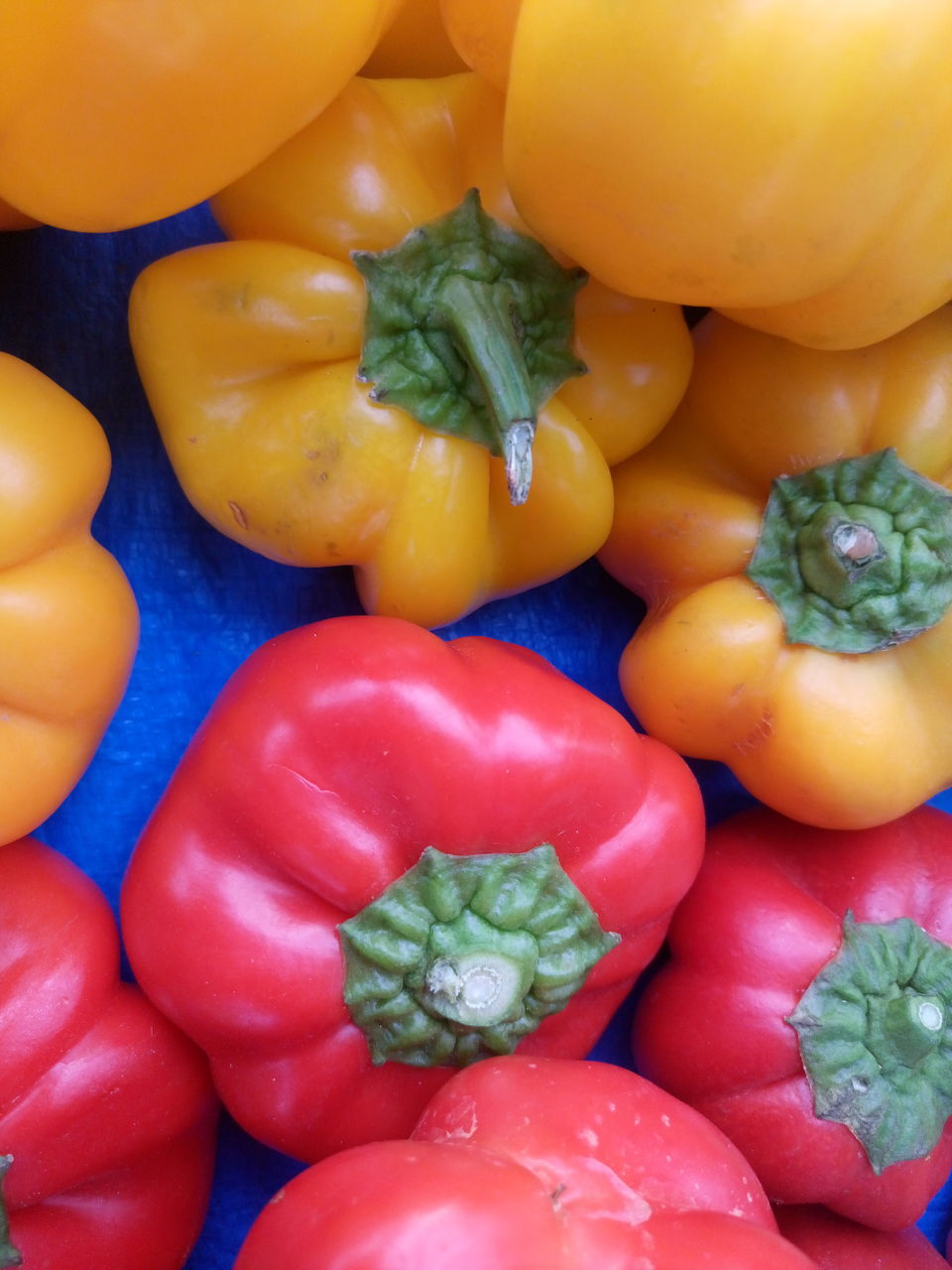 CLOSE-UP OF BELL PEPPERS WITH VEGETABLES AND TOMATOES