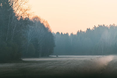 Scenic view of landscape against sky during sunset