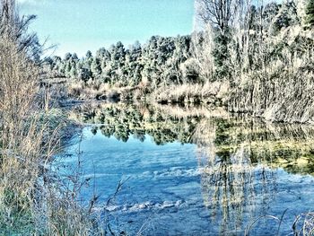 Reflection of trees in lake against sky