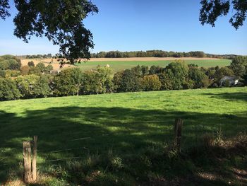 Scenic view of field against clear sky