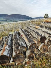 Stack of logs on field against sky