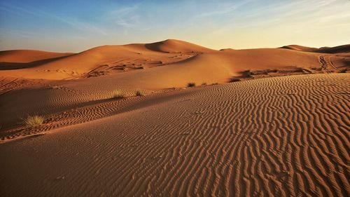 Desert against the sky