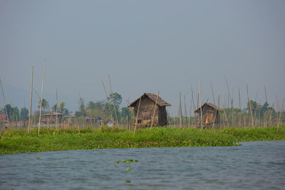 Plants by lake against buildings against clear sky