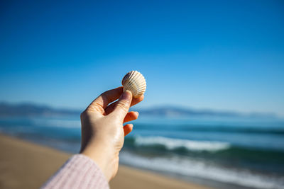 Close-up of hand holding shell by sea against sky