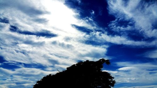 Low angle view of silhouette tree against sky