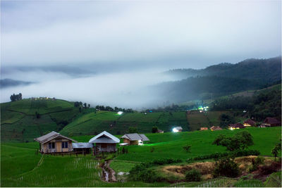 Scenery of fog on the top of the hill terraced rice fields, ban pa pong piang rice terraces.