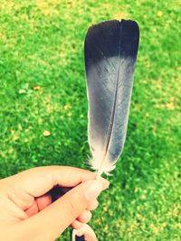 Close-up of human hand holding leaf