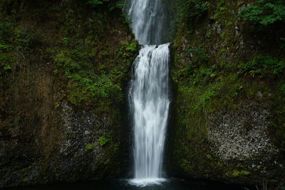 View of waterfall in forest