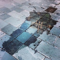 Reflection of trees in puddle