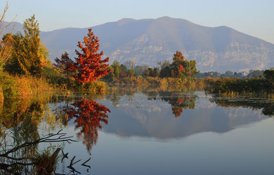 Reflection of trees in lake against sky