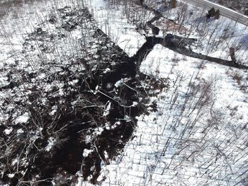 High angle view of bare tree branches