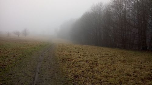 Scenic view of landscape against sky during foggy weather