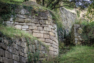 View of stone wall by trees