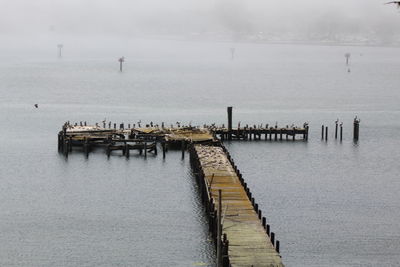 Pier on sea against sky