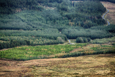 View of rural landscape