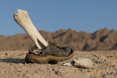 Close-up of shoes on sand. warming, dead