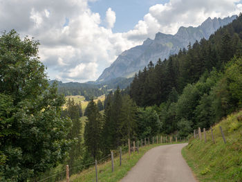 Road amidst trees against sky