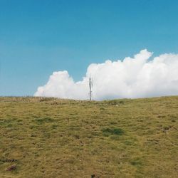 Scenic view of grassy field against sky