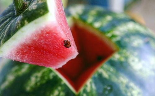 Close-up of strawberry growing on plant