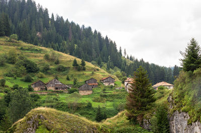 Scenic view of trees and houses against sky