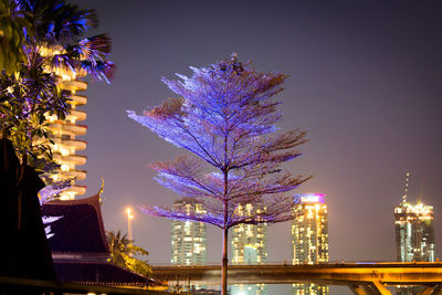 Low angle view of skyscrapers lit up at night