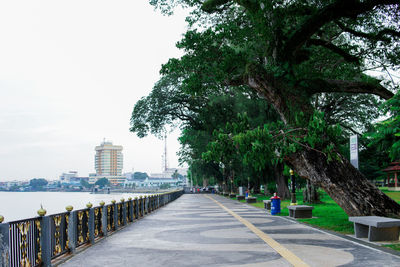 Footpath amidst trees and buildings against sky