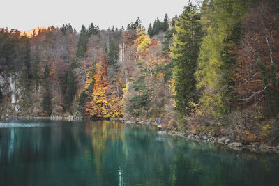 Scenic view of lake in forest during autumn