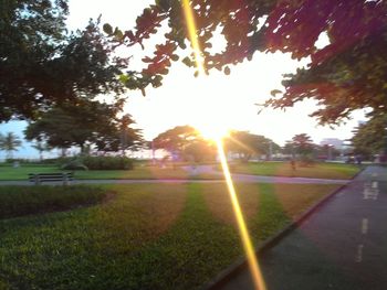 Scenic view of grassy field against sky during sunset