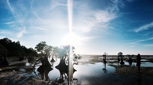 Panoramic view of people by trees against sky