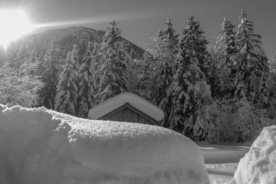 Snow covered land and trees against sky