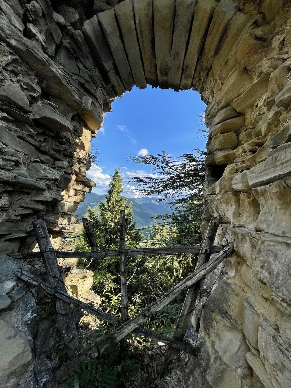 tree, nature, rock, plant, rock formation, no people, sky, beauty in nature, architecture, cave, geology, day, formation, low angle view, tranquility, outdoors, scenics - nature, non-urban scene, tree trunk, trunk, land, physical geography, mountain, environment, travel destinations, landscape, forest, sunlight, built structure, eroded, textured