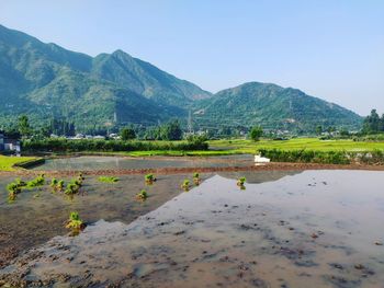 Scenic view of farm against sky